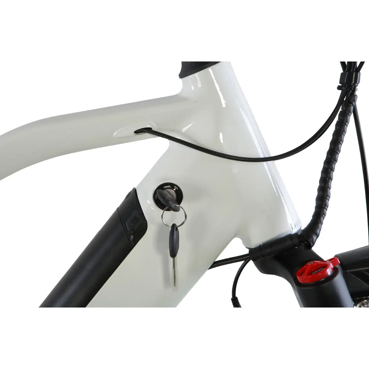 GOBIKE ROBUSTO Electric Mountain Bike