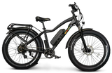 EWheels EW-Supreme Electric Mountain Bike
