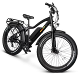 EWheels EW-Supreme Electric Mountain Bike