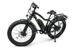 EWheels EW-Supreme Electric Mountain Bike
