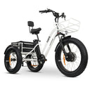 GOBIKE FORTE Electric Tricycle
