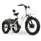 GOBIKE FORTE Electric Tricycle
