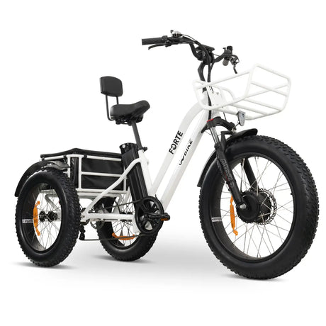 GOBIKE FORTE Electric Tricycle