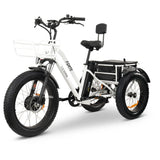 GOBIKE FORTE Electric Tricycle