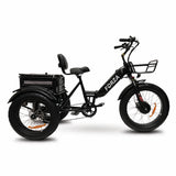 GOBIKE FORZA Electric Tricycle