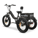 GOBIKE FORZA Electric Tricycle