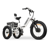 GOBIKE FORZA Electric Tricycle
