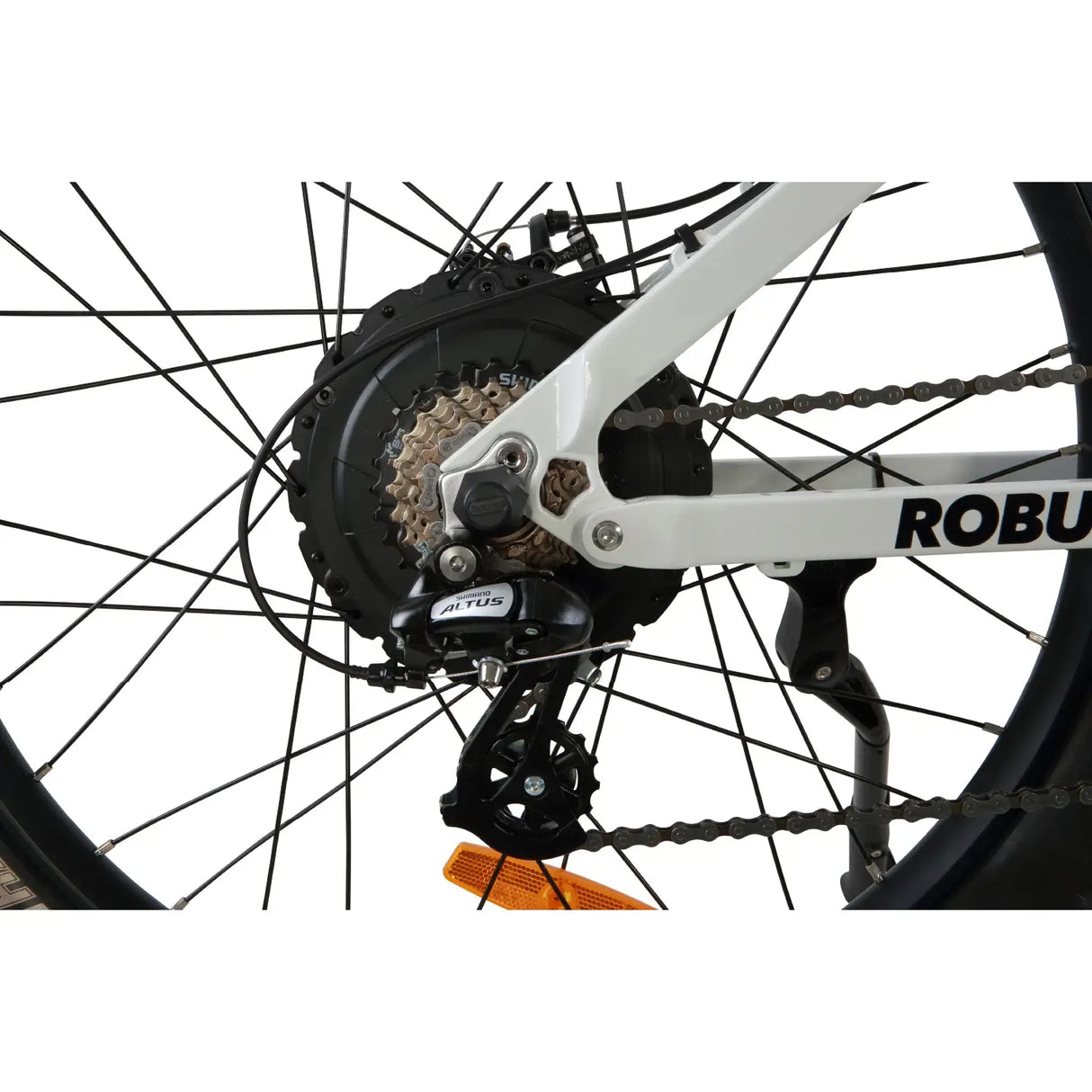 GOBIKE ROBUSTO Electric Mountain Bike