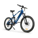 GOBIKE ROBUSTO Electric Mountain Bike