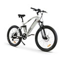 GOBIKE ROBUSTO Electric Mountain Bike