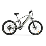 GOBIKE ROBUSTO Electric Mountain Bike