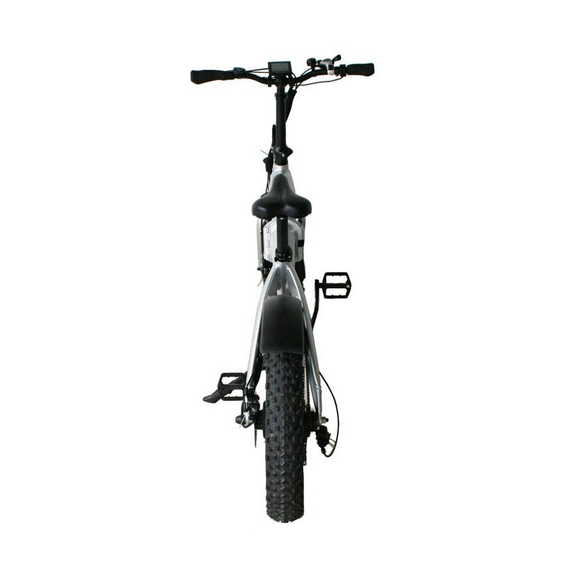 Glion B1 Fat Tire Folding Electric Bike