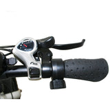 Glion B1 Fat Tire Folding Electric Bike