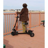 Glion SNAPnGO Model 335-23 Electric Scooter