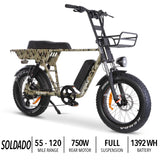 GOBIKE SOLDADO Lightweight 750W Dual-Passenger Electric Bike