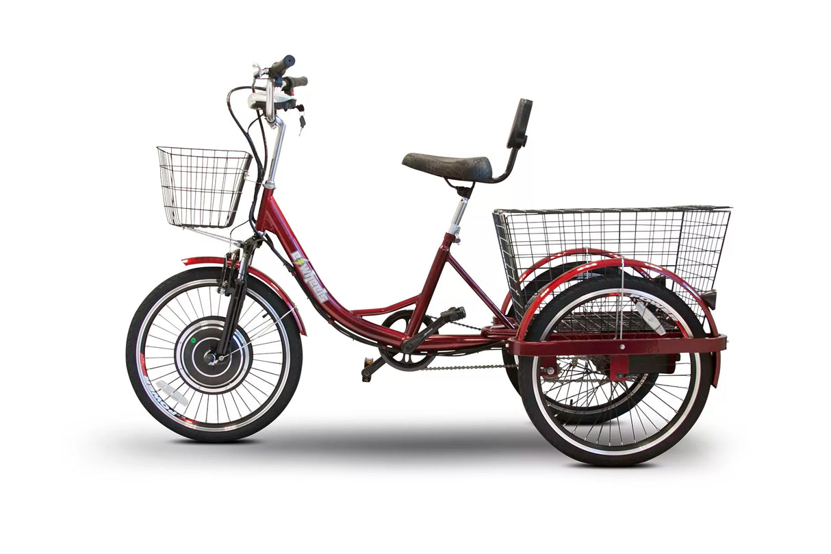 EWheels EW-29 Electric Trike
