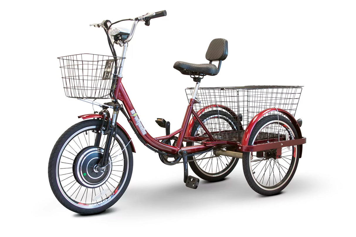 EWheels EW-29 Electric Trike