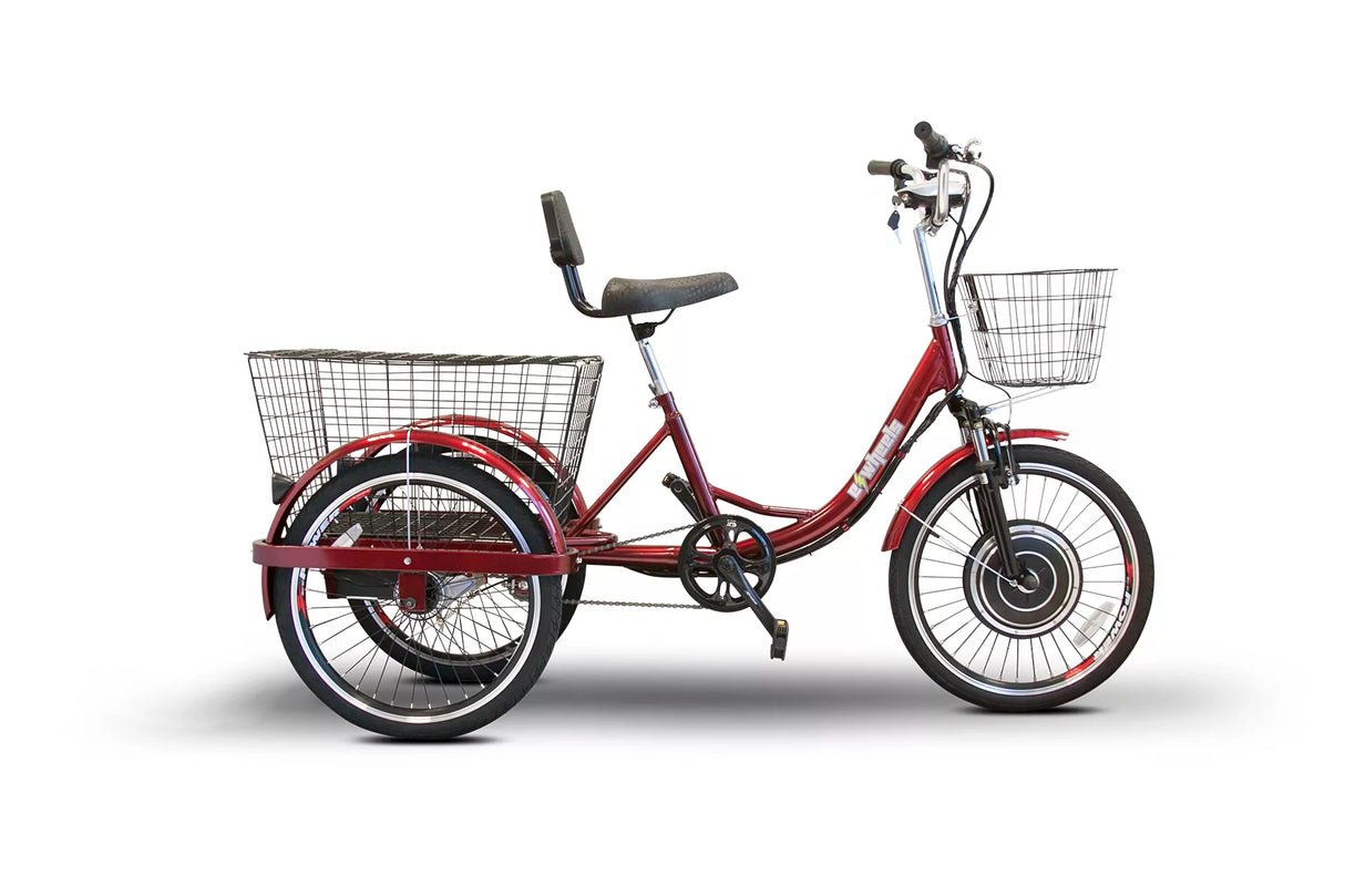 EWheels EW-29 Electric Trike
