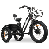 GOBIKE FORTE Electric Tricycle