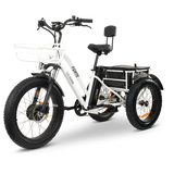 GOBIKE FORTE Electric Tricycle