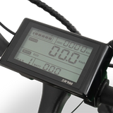 GOBIKE FORZA Electric Tricycle