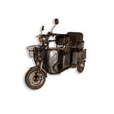 Pushpak 3000 2-Person Electric Trike Mobility Scooter
