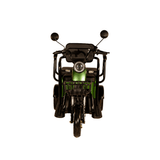 Pushpak 3500 2-Person Electric Trike Mobility Scooter