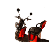 Pushpak 4000 2-Person Electric Trike Mobility Scooter