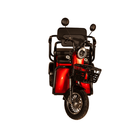 Pushpak 4000 2-Person Electric Trike Mobility Scooter